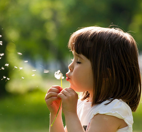 Child Blowing Dandelion